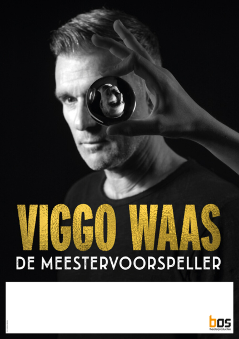 Viggo Waas - De Meestervoorspeller